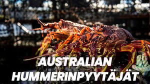 Australian hummerinpyytäjät