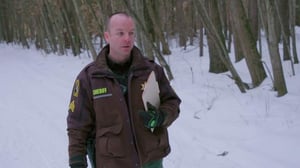 True Life Crime (Paramount+) (12) - Doublecross or Deadly Deal?