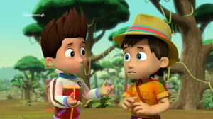 Paw Patrol(Paramount+) - Matkijapapukaija / Avuliaat Merenpennut