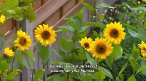 Puutarhan pelastajat - Kleingarten