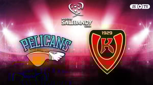 Pelicans SB - Koovee - Pelicans SB - Koovee 14.10.