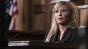 Law & Order: Special Victims Unit (12) - Agent Provocateur