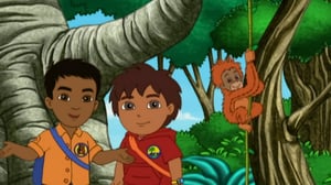 Go, Diego, Go! (S) - Diego orankien luona