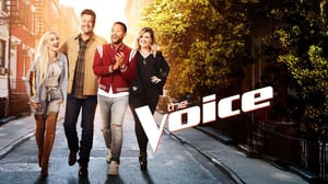 The Voice of USA - Ja voiton vie?