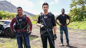 Hawaii Five-O (2010) (12) - Aloha