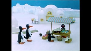 Pingu (S) - Pingu (S)