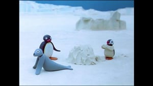 Pingu (S) - Pingu (S)