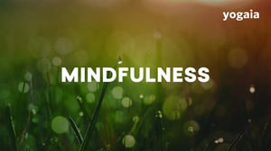 Mindfulness - Mindfulness