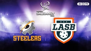 Steelers - LASB - Steelers - LASB 14.12.