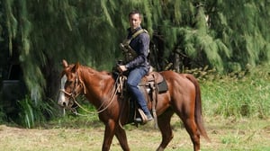 Hawaii Five-O (2010) (12) - Hala I Ke Ala O'i'ole Mai