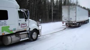 Rekkakuskit jäällä (7) - Lisa Linkussa