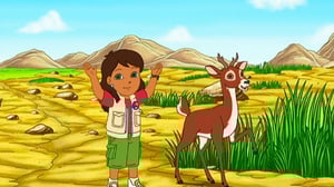 Go, Diego, Go! (S) - Alicia and Whitetail to the Rescue