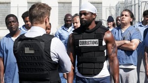 Mayor of Kingstown (16) - Little Green Ant