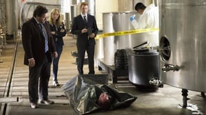 Murhia ja kantrimusiikkia (18) - Happamia marjoja