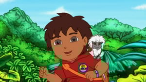Go, Diego, Go! (S) - Diego pelastaa valkotöyhtötamariinin
