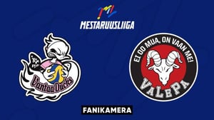 Ducks - VaLePa, Fanikamera - Ducks - VaLePa, Fanikamera 11.12.