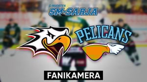 Sport - Pelicans, Fanikamera - Sport - Pelicans, Fanikamera 18.1.