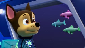 PAW Patrol (S) - Vesipennut merikisassa