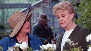 MURHASTA TULI TOTTA (UUSI) (7) - Kelttiläinen arvoitus