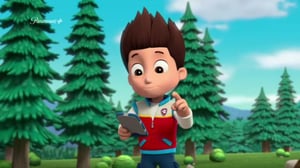 Paw Patrol(Paramount+) - Turbotin Serkukset Pulassa / Pulmia Ilmassa