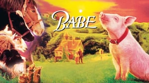 Babe - urhea possu (S)