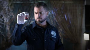 CSI: Crime Scene Investigation (12) - The Book of Shadows