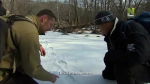 Venäjän tiikerin metsästys (7)