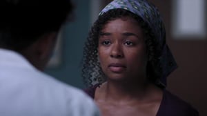 Greyn anatomia (12) - Hillitön hääpäivä