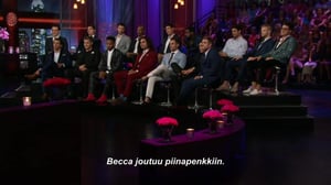 Unelmien poikamiestyttö - Miehet kertovat