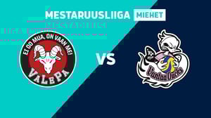 VaLePa - Vantaa Ducks - VaLePa - Vantaa Ducks 10.2.