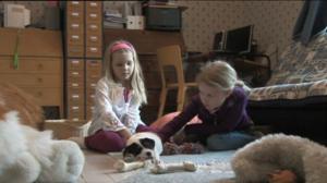 Kolme pientä koiranpentua