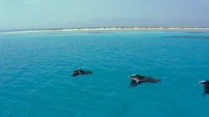 Afrikan luonnon helmiä