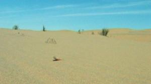 Afrikan luonnon helmiä