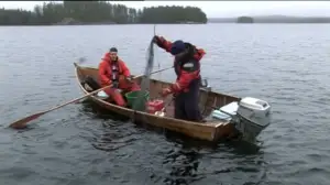 Erätulilla - kalavesillä