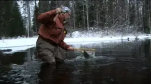 Erätulilla - kalavesillä