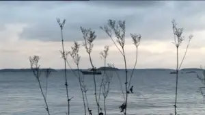 Erätulilla - kalavesillä