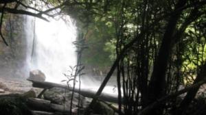 Terveisiä Borneolta!: Osa 1: Epäilyttävä lentoyhtiö, kupeksiva kunnajohtaja ja lehmännahkanaksut