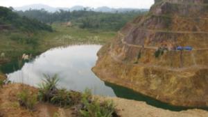 Terveisiä Borneolta!: Osa 6: Hyönteisten lemmenhetki, moukkuiset tiet ja kultakaivos