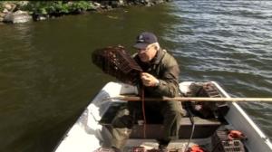 Erätulilla - kalavesillä