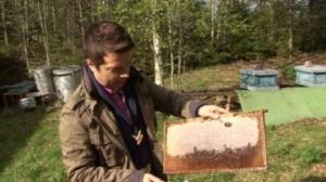 Luonto lähellä: Luonto lähellä 28.5.