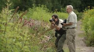 Luonto lähellä: Luonto lähellä 20.8.