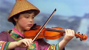 Viuluviikarit musiikkimaassa