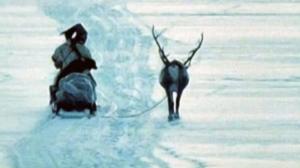 Kino Suomi: Skierri - vaivaiskoivujen maa