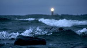 Tuntematon Selkämeri