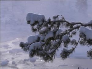Läpileikkaus maapallosta