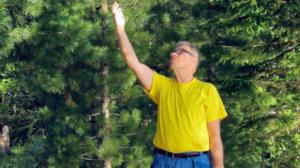 Tosi tarina: Asfaltilla syntynyt