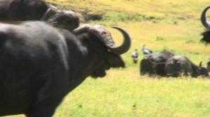 Luonto lähellä: Luonto lähellä 25.3.