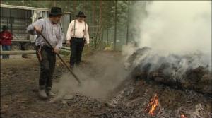 Luonto lähellä: Luonto lähellä 19.8.