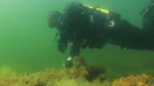 Itämeri pintaa syvemmältä