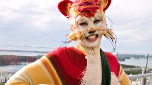 Katinkontti